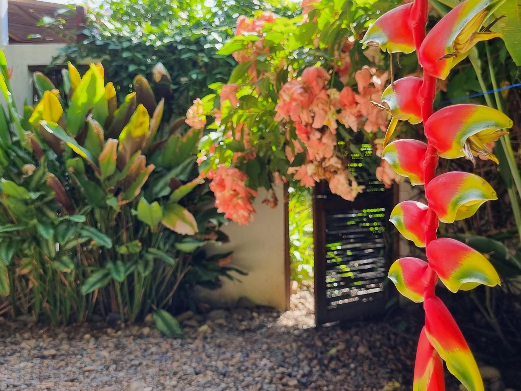 Casas La Floristeria Villa Palomino Ngoại thất bức ảnh